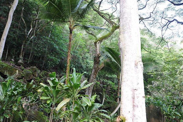 th DSC 4735 th DSC 4735