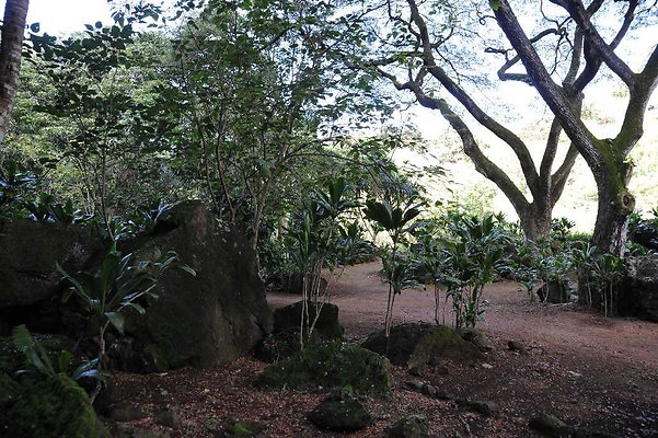 th DSC 4727 th DSC 4727