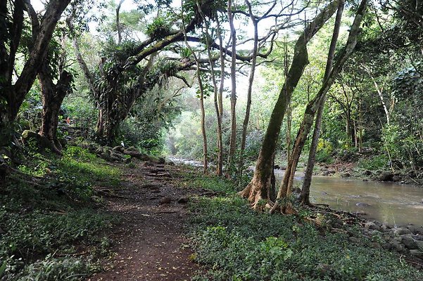 th DSC 4765 th DSC 4765