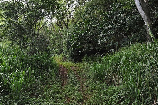 th DSC 3294 th DSC 3294