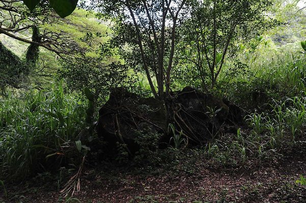 th DSC 3288 th DSC 3288