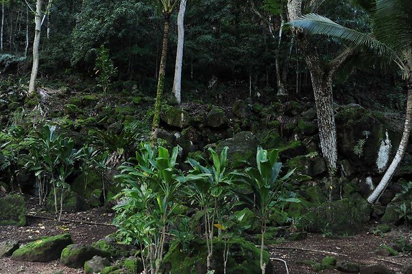 th DSC 4725 th DSC 4725