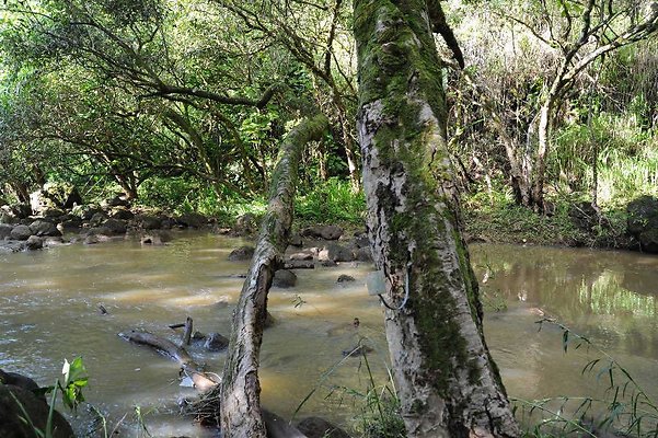 th DSC 4750 th DSC 4750