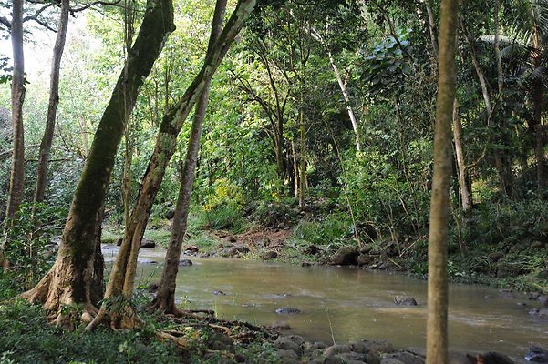 th DSC 4768 th DSC 4768