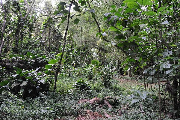 th DSC 3266 th DSC 3266