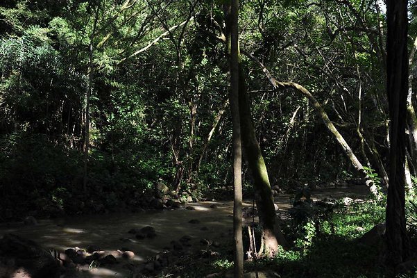 th DSC 4770 th DSC 4770