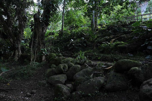 th DSC 4763 th DSC 4763