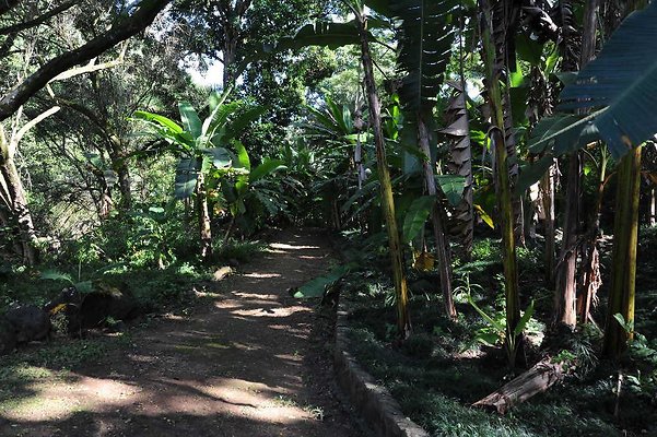 th DSC 4738 th DSC 4738