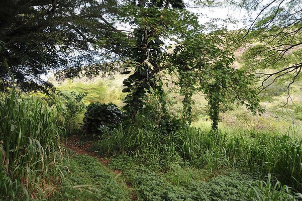 th DSC 3291 th DSC 3291