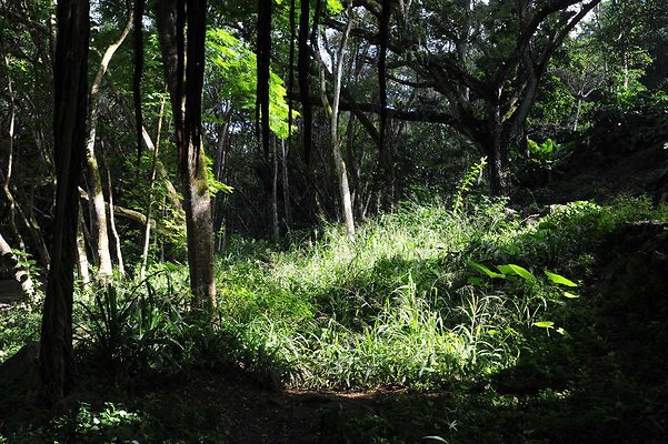 th DSC 4771 th DSC 4771