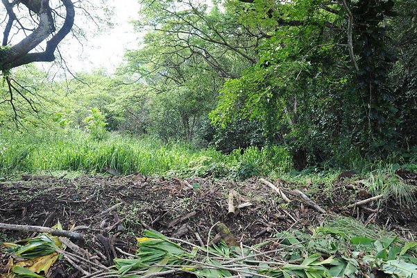 th DSC 3315 th DSC 3315