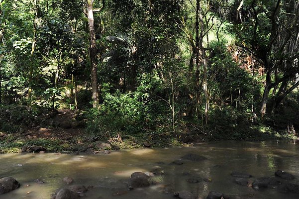 th DSC 4788 th DSC 4788