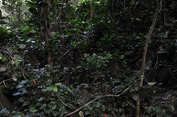 th DSC 3273 th DSC 3273