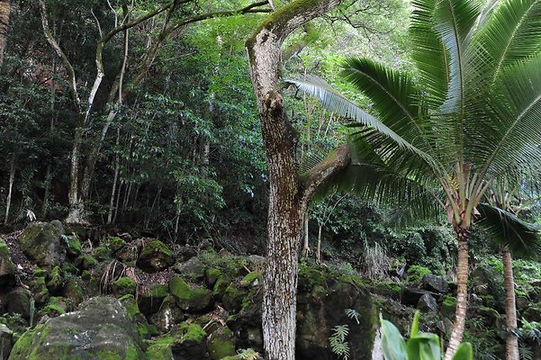 th DSC 4732 th DSC 4732