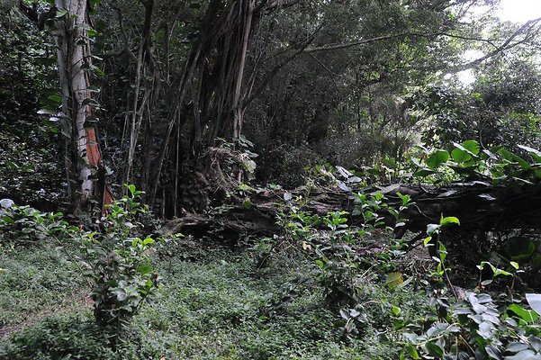 th DSC 3264 th DSC 3264