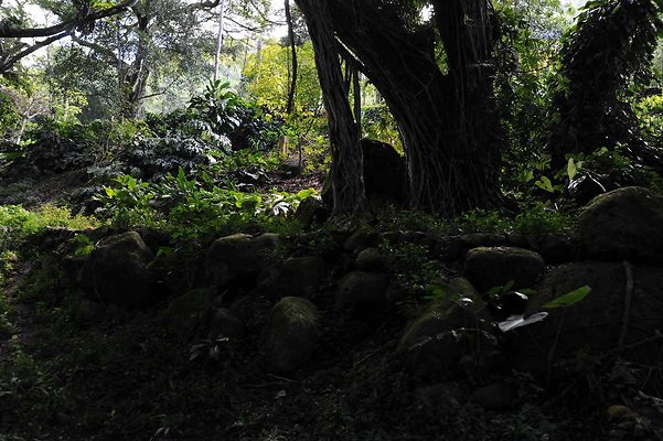 th DSC 4775 th DSC 4775