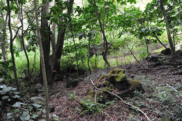 th DSC 3300 th DSC 3300