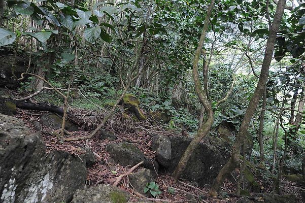 th DSC 3297 th DSC 3297