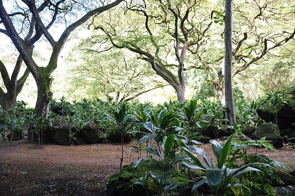 th DSC 4728 th DSC 4728