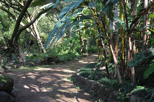 th DSC 4757 th DSC 4757