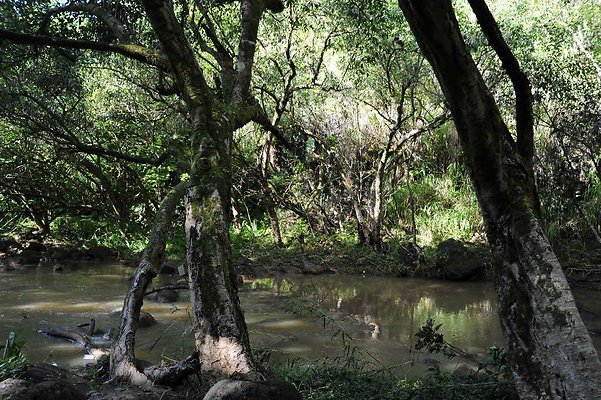 th DSC 4741 th DSC 4741