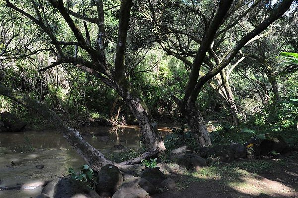 th DSC 4737 th DSC 4737