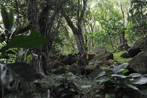 th DSC 3305 th DSC 3305