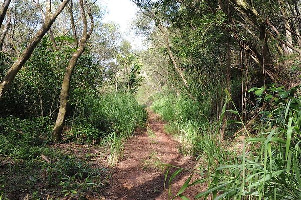 th DSC 3328 th DSC 3328