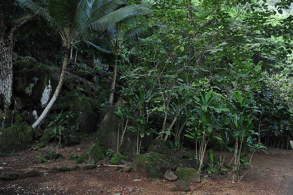 th DSC 4726 th DSC 4726