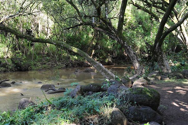 th DSC 4756 th DSC 4756