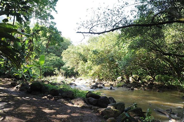 th DSC 4740 th DSC 4740