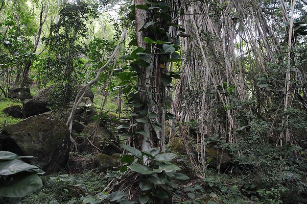 th DSC 3306 th DSC 3306