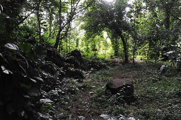 th DSC 3270 th DSC 3270