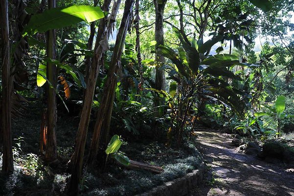 th DSC 4739 th DSC 4739