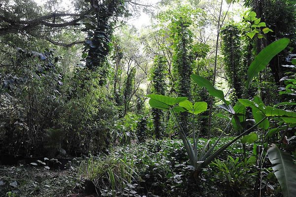 th DSC 3279 th DSC 3279