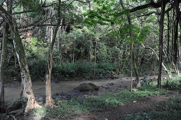 th DSC 4781 th DSC 4781