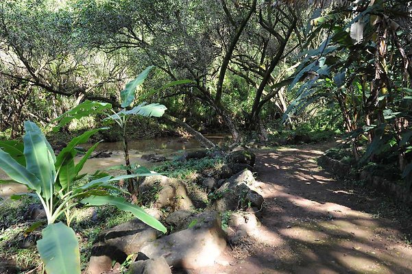 th DSC 4752 th DSC 4752