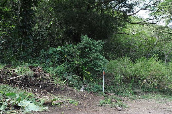 th DSC 3316 th DSC 3316