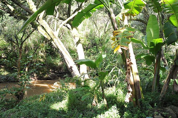 th DSC 4745 th DSC 4745