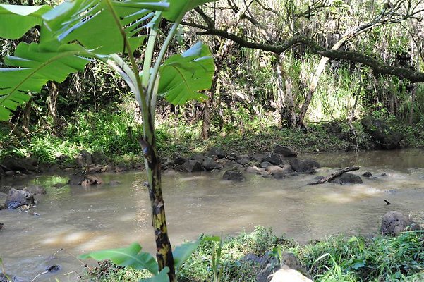 th DSC 4755 th DSC 4755