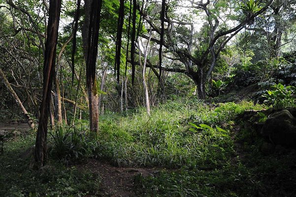 th DSC 4774 th DSC 4774