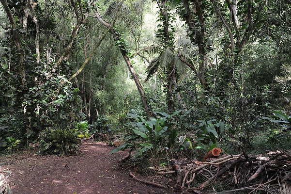 th DSC 3281 th DSC 3281