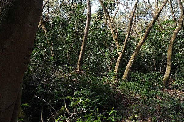 th DSC 3327 th DSC 3327