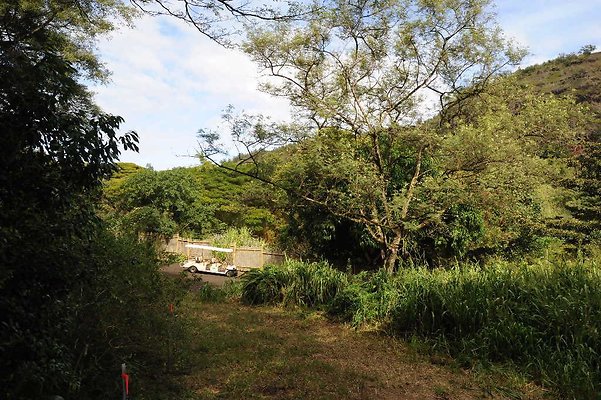 th DSC 3317 th DSC 3317