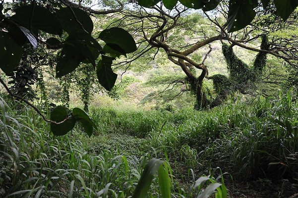 th DSC 3287 th DSC 3287