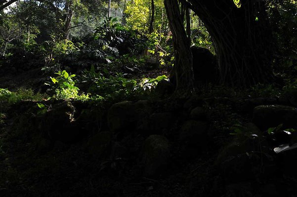 th DSC 4772 th DSC 4772