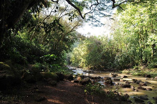 th DSC 4786 th DSC 4786