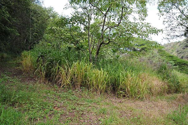 th DSC 3309 th DSC 3309