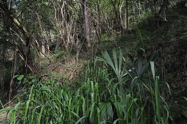 th DSC 3329 th DSC 3329