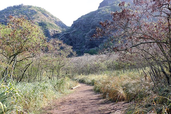 YMCA Camp Erdman Gabriel 808 637 4615